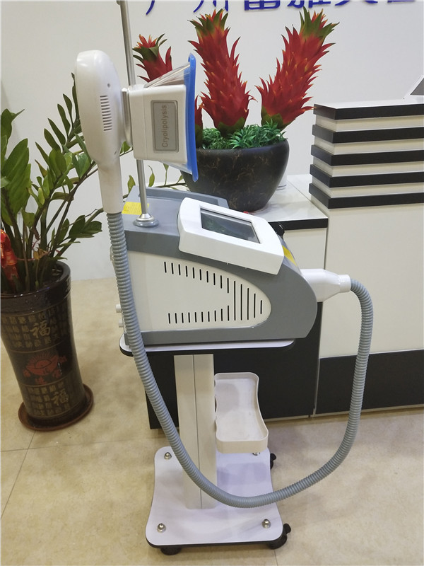 2019 New Best selling criolipolisis mquina portable fat freezing cryolipolysis double chin machine on sale