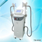 4 handpiece cryolipolysis fat freezing / cryolipolysis slimming machine /cryolipolysis for fat reduction,