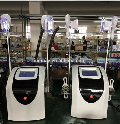 China Cryolipolisis Freeze Fat Machine Manufacturer