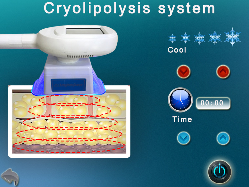 cryo handle cryolipolysis only best cryolipolysis machine TM-920