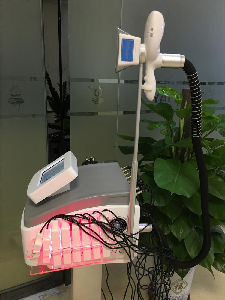 Equipment for small business at home buy cryolipolysis machine