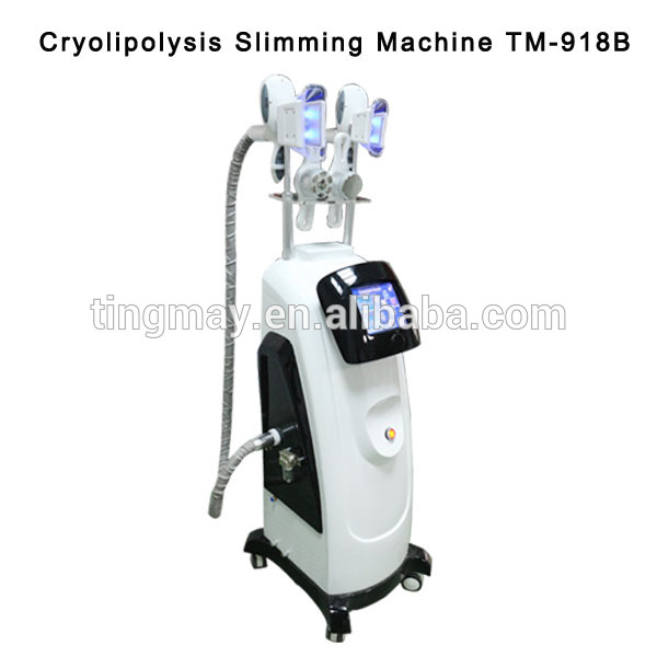 6 in 1 cryolipolysis machine 5 handpieces cryolipolysis fat freeze machine