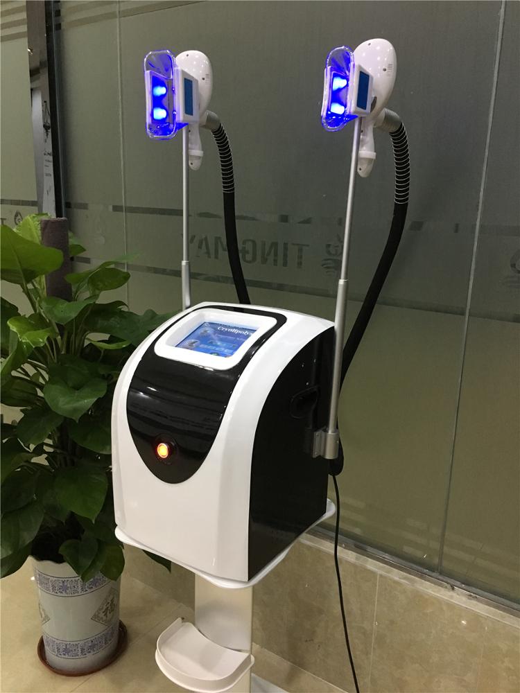 Best Effective Portable Painless Cryolipolysis / Fat Freezing Reduction Mini Slimming Equipment