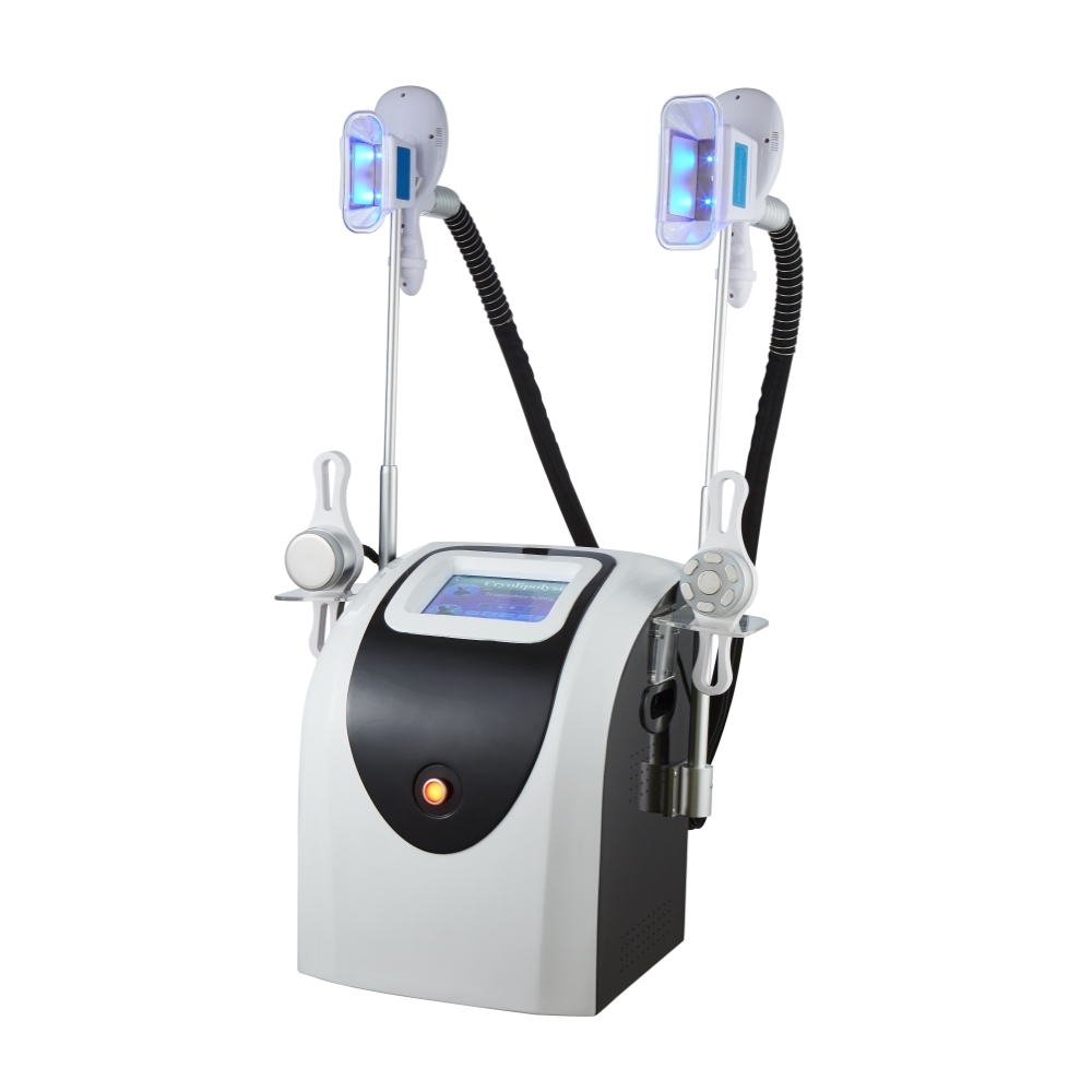 Coolshape Cryolipolysis Freeze Fat slimming machine price/Cryo machine with Cavitation and RF Handles